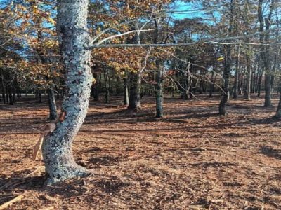 Comprehensive Land Grading