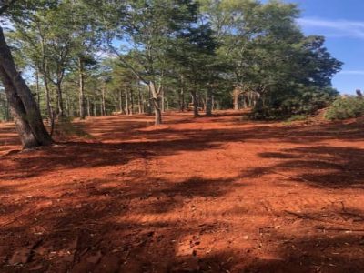 Comprehensive Land Grading Project