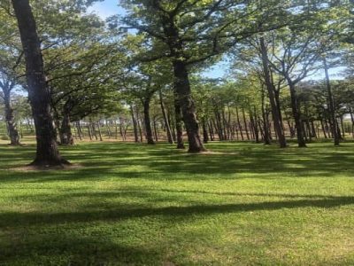 Professional Land Grading Project